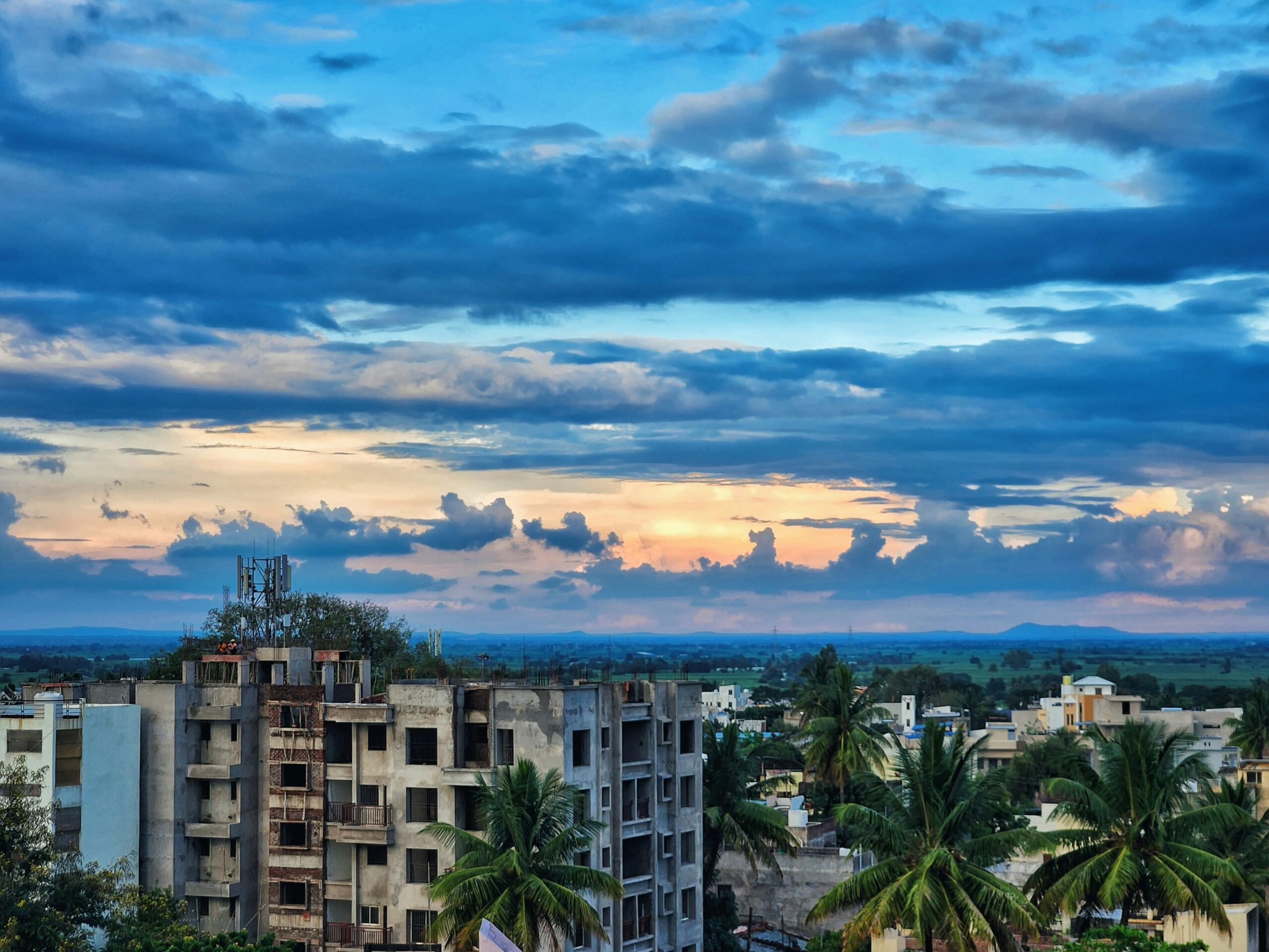 a view of a city with palm trees and clouds